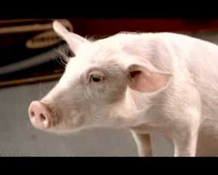 Youtube: Media Markt Spot Kein Schwein
