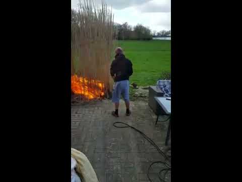 Youtube: guy burns garden