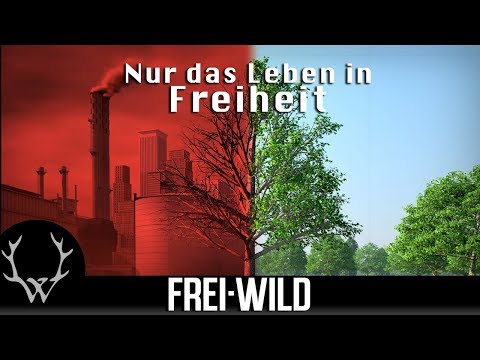 Youtube: Frei.Wild - Nur das Leben in Freiheit (Offizielles Video)