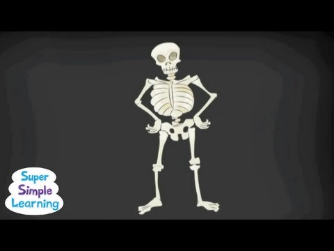 Youtube: The Skeleton Dance | Classroom Fun | Super Simple Songs