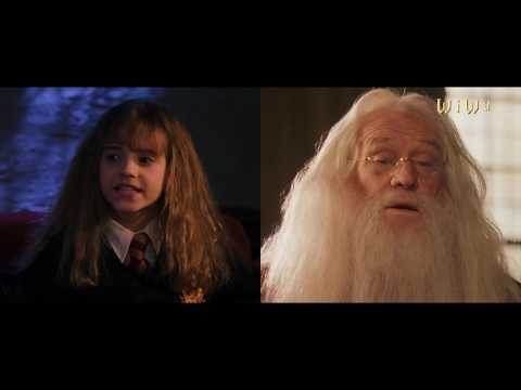 Youtube: Fresh Dumbledore feat. Hermi G - Wenn du denkst (HD - Remake)