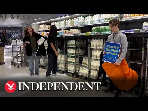 Youtube: Animal Rebellion protesters pour milk onto multiple shop floors in coordinated protest