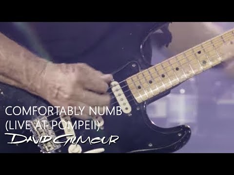 Youtube: David Gilmour - Comfortably Numb (Live At Pompeii)