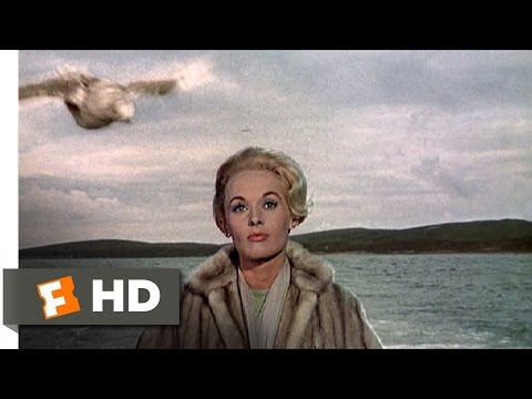 Youtube: The Birds (1/11) Movie CLIP - Seagull Attack (1963) HD