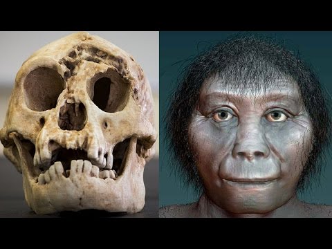 Youtube: Homo floresiensis may have evolved from an African ancestor