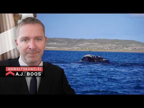 Youtube: UPDATE zum Wal: Wochenende wieder vertrödelt?! "Gutachten" liegt vor, Minister redet und redet...