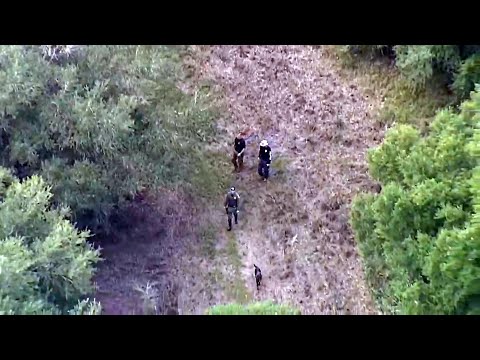 Youtube: Fruitless Brian Laundrie Swamp Search Has Cost $1.5 Million