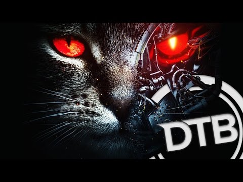 Youtube: Excision & Downlink - Robo Kitty