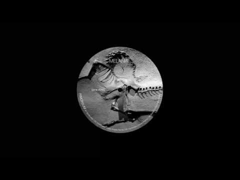 Youtube: Melania . - Evolutio (Rich Oddie Remix) [a+wXVIII]