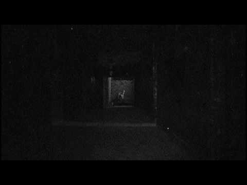 Youtube: Haunted - Waverly Hills - Part II