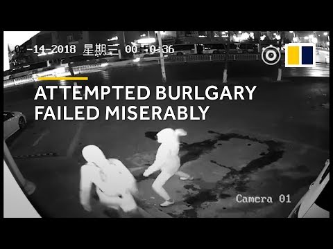 Youtube: Stupid criminal: burglar breaks partner's head with a brick in Shanghai, China