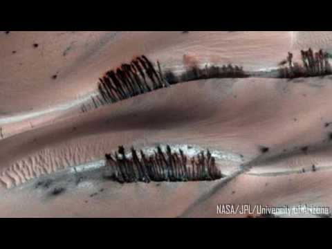 Youtube: Are there trees on Mars?