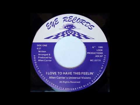 Youtube: Allen Carrier's Universal Visions  - Love To Have This Feelin