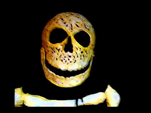 Youtube: Halloween Skeleton 2010