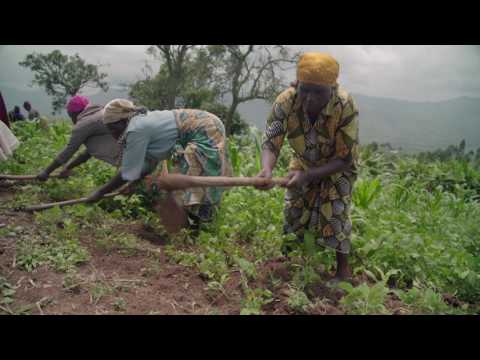 Youtube: Gorilla Rehabilitation and Conservation Education (GRACE) Center 60-sec overview_v2