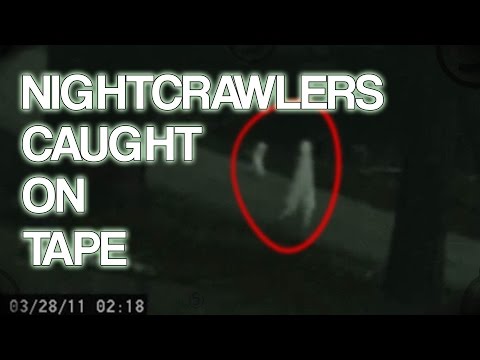 Youtube: Nightcrawler Creatures Caught on Tape