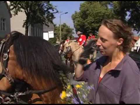 Youtube: Gendreck weg 2007 Feldbefreiung im Oderbruch