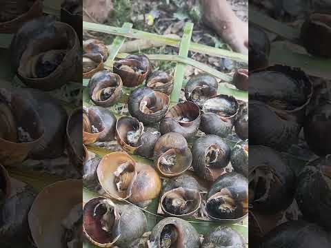 Youtube: Grill snail #shortsvideo #cooking