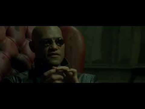 Youtube: Matrix - Das Gefängnis im Kopf