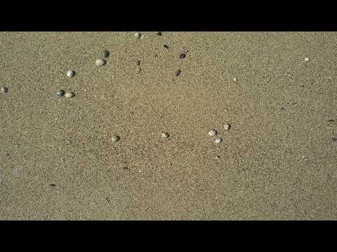 Youtube: wandernde Steine