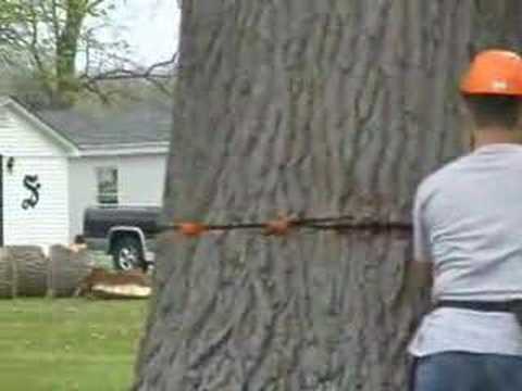 Youtube: Stihl 066 Magnum Ported Big Bore Falling 48" Oak