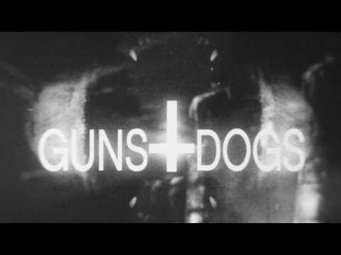 Youtube: Portugal. The Man - Guns and Dogs [Official Music Video]