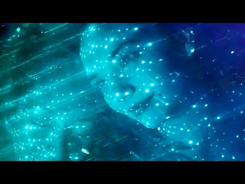 Youtube: Deftones - Sextape [Official Music Video]