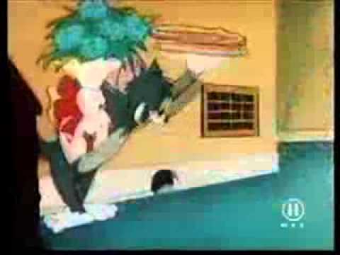 Youtube: Vielen Dank für die Blumen - Tom and Jerry Intro german