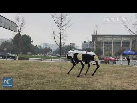 Youtube: China unveils new four-legged robot that gallops like a horse