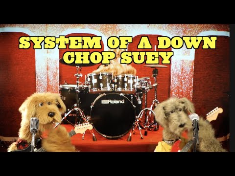 Youtube: System of a Down Tribute - Chop Suey