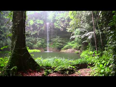 Youtube: Natur Meditation - Regenwald Sounds und Regen