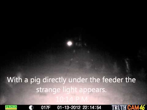 Youtube: Strange lights caught on deer cam!