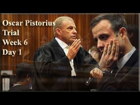 Youtube: Oscar Pistorius Trial: Monday 14 April 2014, Session 2