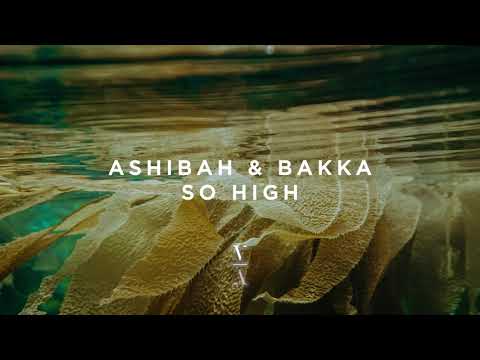 Youtube: Ashibah & Bakka - So High