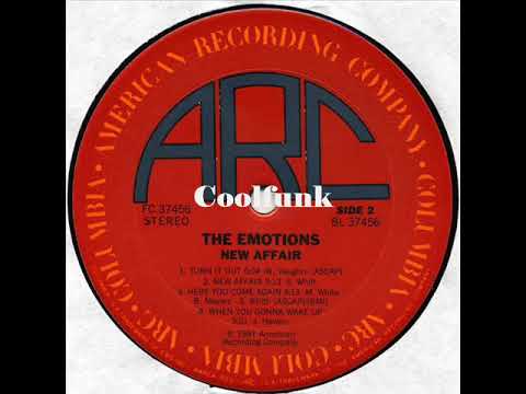 Youtube: The Emotions - Turn It Out (1981)