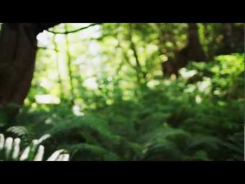 Youtube: Emancipator "Minor Cause" Official Music Video