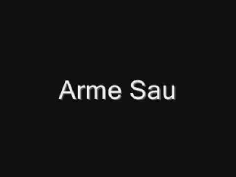 Youtube: Quietschboys - Arme Sau