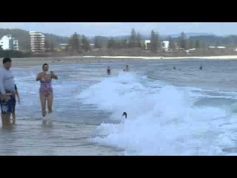Youtube: Surfing Swans original video Kel Mills,Kirra, Gold Coast, Australia
