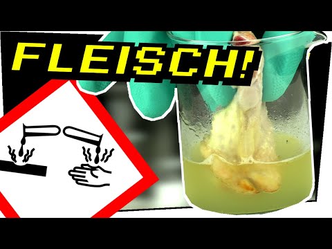 Youtube: PIRANHASÄURE LÖST FLEISCH AUF! Knabberwasser vs Chickenwing - Gefährliche Experimente #124
