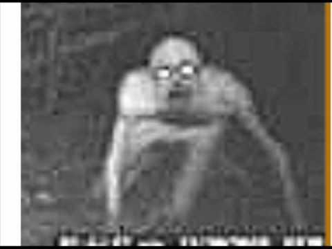 Youtube: Strange Creature In Tennessee