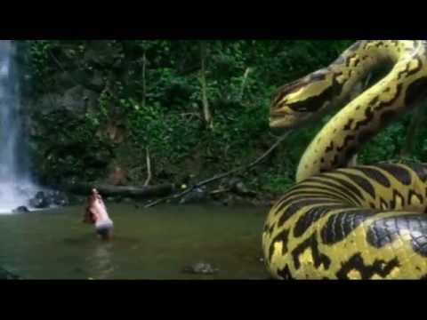 Youtube: piranhaconda trailer