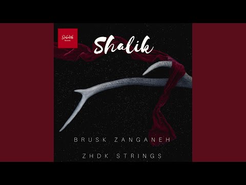 Youtube: Shalik (feat. Zhdk Strings, Rudolf Koelman & Adam Skoumal)