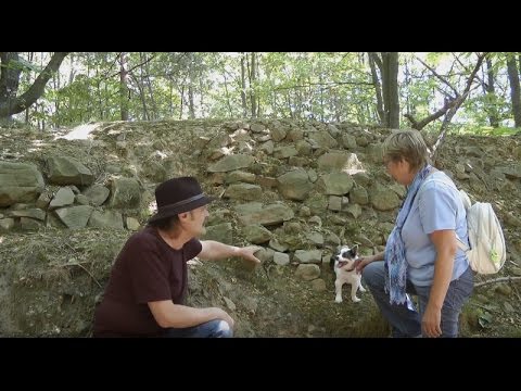Youtube: Auf den Spuren der Kelten im Pfälzer Wald (Teil 1)