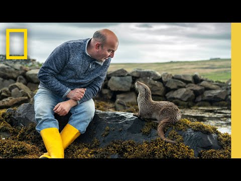 Youtube: Billy & Molly: An Otter Love Story (Full Documentary Special) | National Geographic