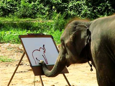 Youtube: Suda - The Painting Elephant