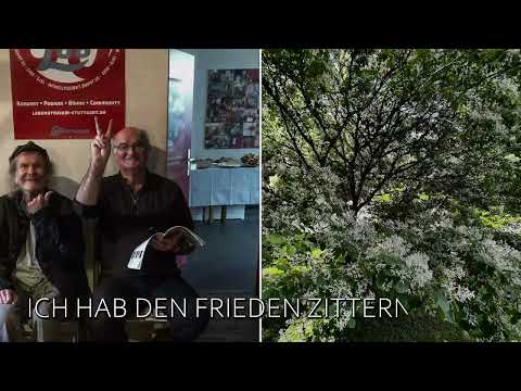 Youtube: Zupfgeigenhansel  "Ich hab den Frieden kommen sehn"  ( Offizielles Lyricvideo )