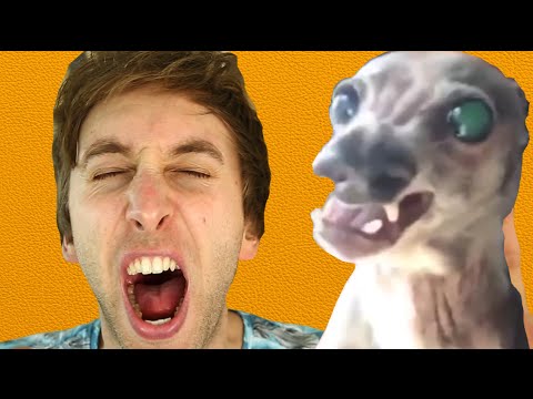 Youtube: Der hässlichste Hund EVER??? | Torgshow #10