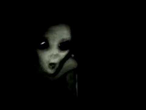 Youtube: real grey alien captured on tape