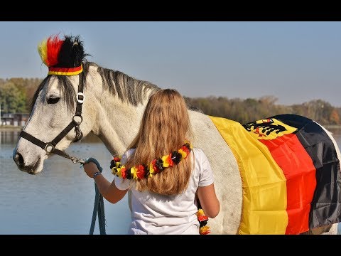 Youtube: Alles.Scheisze - Stets Verlierer (WM 2018 HYMNE)