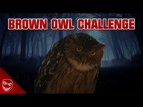 Youtube: Die 50 Challenges der Brown Owl Challenge!